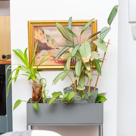 Apartament Magnolia Happy